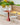 Garden Furniture Sale