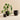 Aaron Probyn - Botany Plant Pot - Small - Black