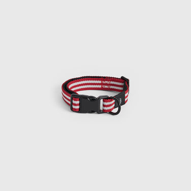 Red and white striped dog collar with a black buckle on a light grey background