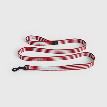 Red and white striped dog leash on a white background