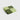 Hay - Pattern Napkins (set of 20) Light Green / Dusty Green