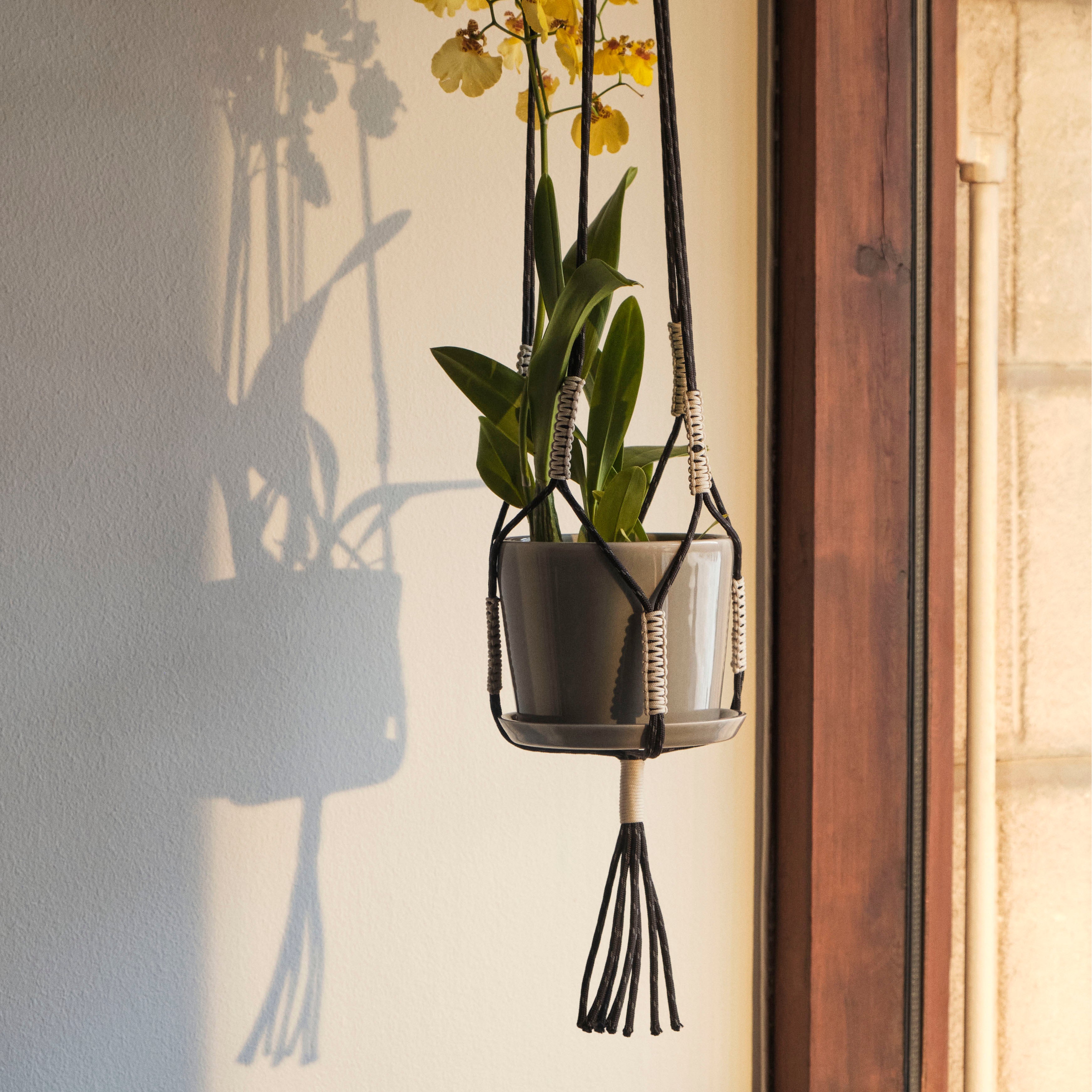 plant pot hay Hay - Phanta Planter