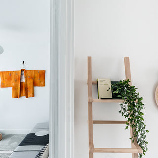 399 Townhouse for U+I