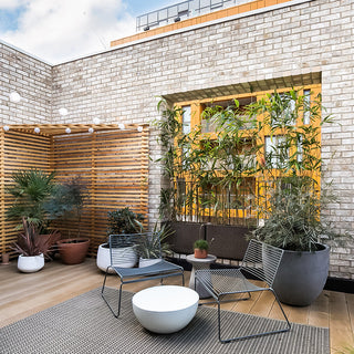 Signal Townhouse - Greenwich