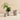 Aaron Probyn - Botany Plant Pot - Small - Grey