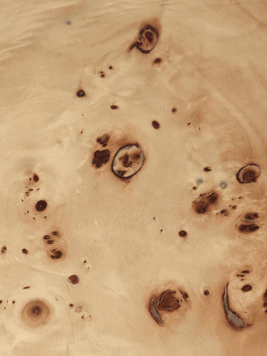 Up close detail of a burl coffee table.