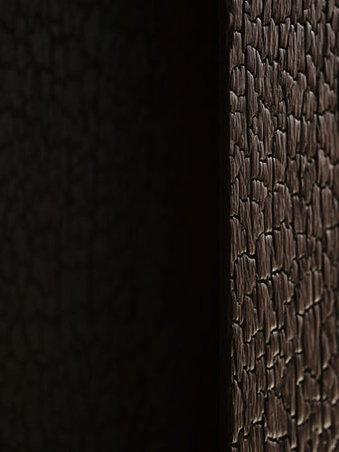 Close-up of a dark brown textured material with a raised, pebbled or crocodile-like surface pattern, shown against a very dark background.