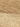 Close-up of beige carpet texture