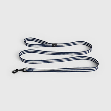 Striped dog leash on a light gray background