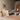 L.Ercolani - IO Long Table - Ash / Various Finishes
