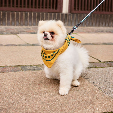 Hay - Dogs Scarf - Ochre