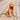 Hay - Dogs Scarf - Red