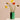 Hay - Arcs Vase - Various
