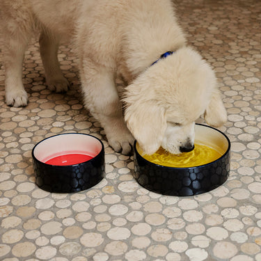Hay - Dogs Bowl L - Yellow Blue Off-White