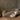 Coffee table in a living setting with a sofa in the background, a shaggy rug and a grey wall.